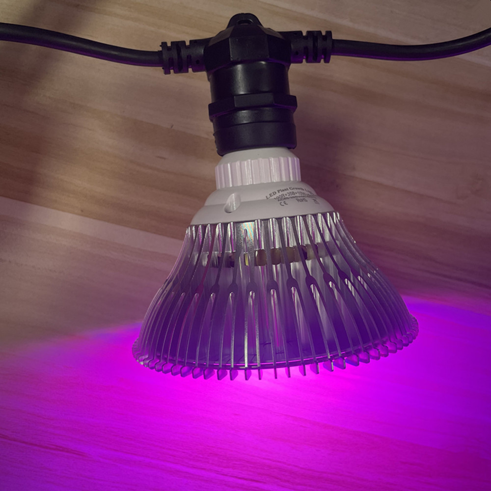 Cadena de luces LED de 10M, re - Outdoor Lighting Manufacturers reseña y precio