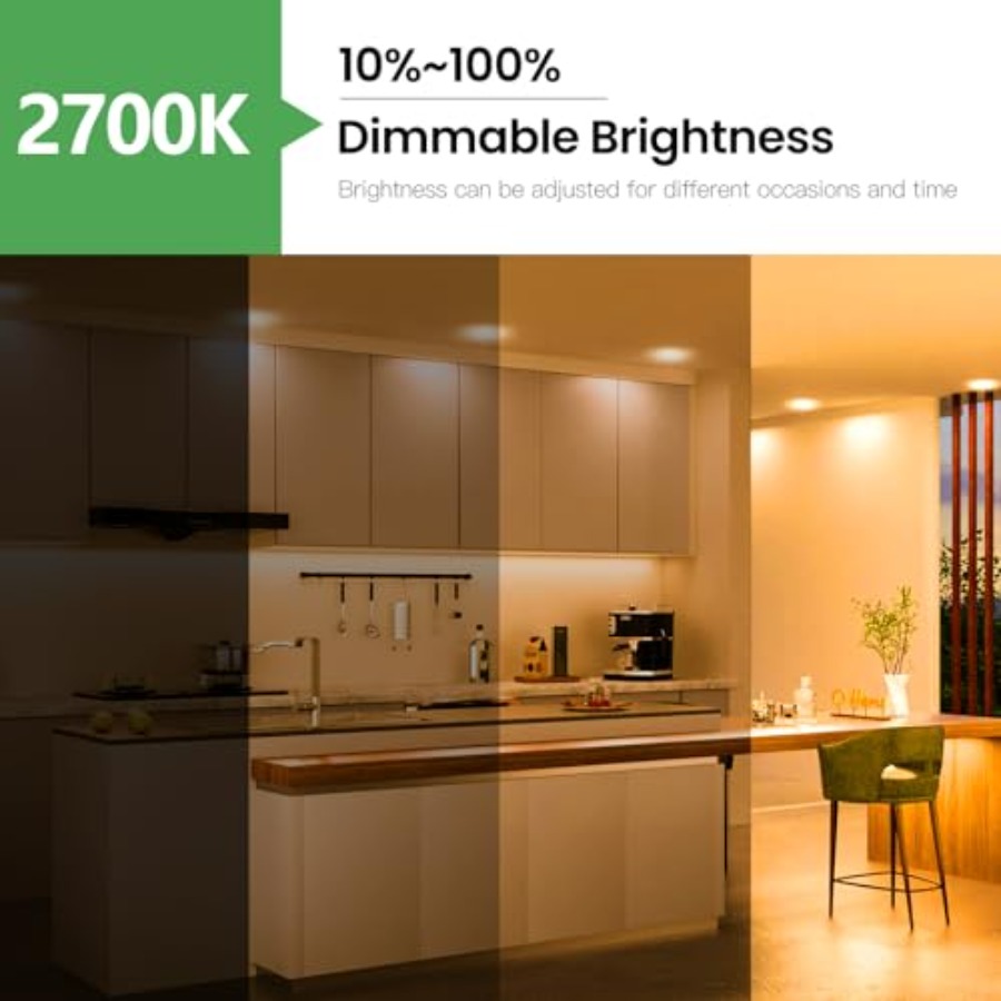 Bombillas PAR38 para Proyector - Outdoor Lighting Bulbs reseña y precio